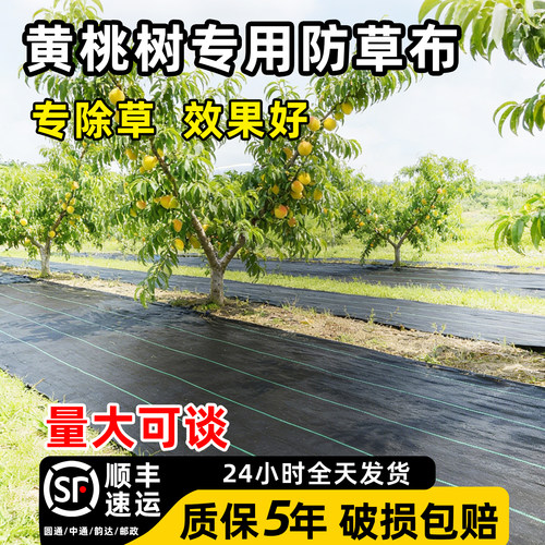 黄桃树专用防草布山东果园种植果树除草加厚抗老化透气渗水抑草布