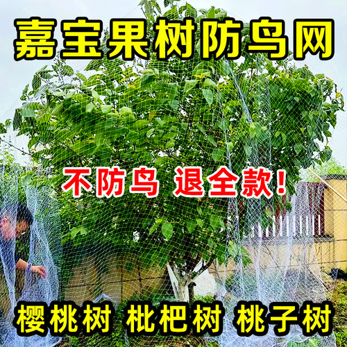 果树防鸟网罩人气热销款