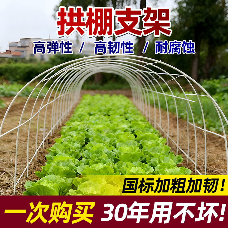 拱棚支架新型防虫网种菜专用支撑杆拱棚塑料膜实心拱杆蔬菜爬藤架,农机/农具/农膜,温室大棚支架,淘宝优惠券,粉丝福利购,淘宝优惠卷