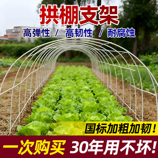 拱棚支架新型防虫网种菜专用支撑杆拱棚塑料膜实心拱杆蔬菜爬藤架