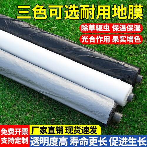 黑地膜除草膜农用加厚黑膜大棚蔬菜果园用保温保湿白膜银黑反光膜
