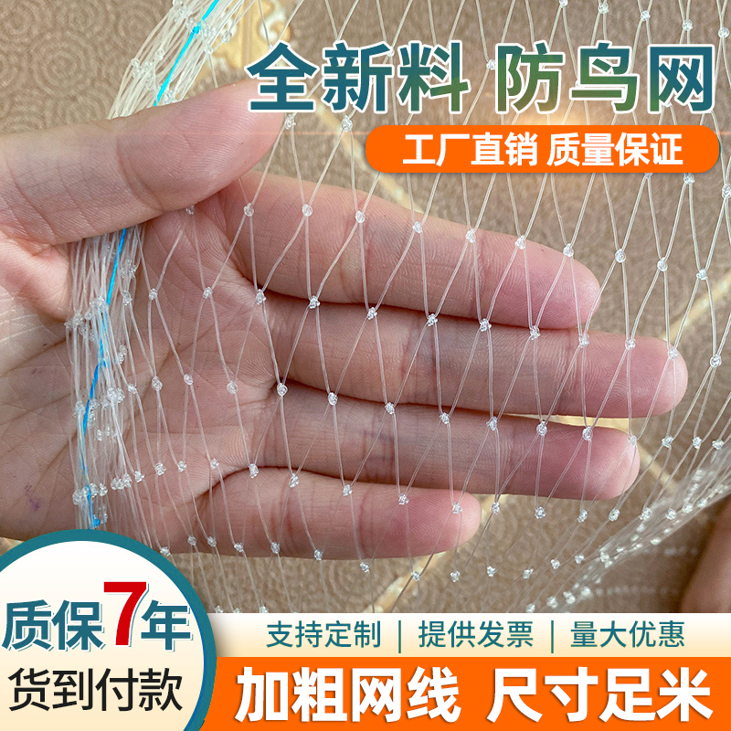 果树防鸟网麻雀专用防护网尼龙网罩子嘉宝果树菜园网罩防扑鸟软网