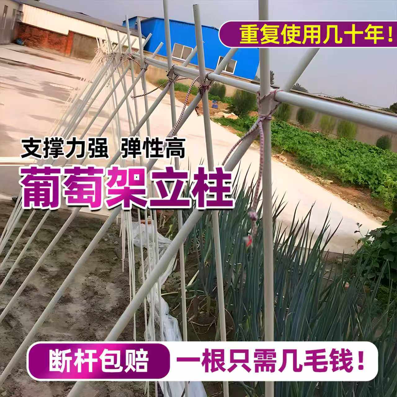 葡萄架立柱豆角黄瓜爬藤支架杆花架子塑料农用扶苗杆子户外拱杆子