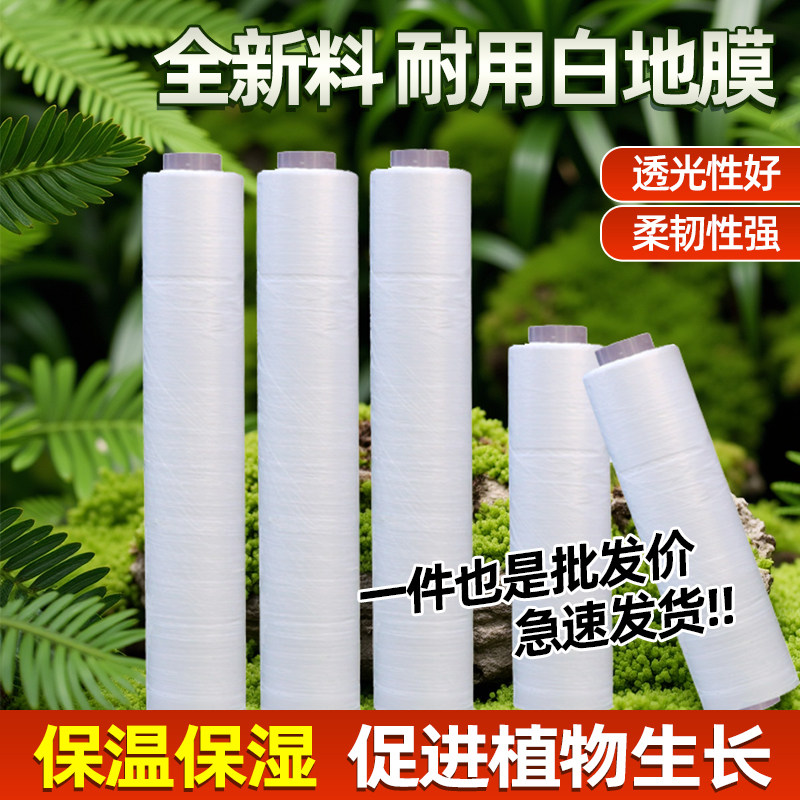 耐用白色地膜种菜种植专用全新料保温加厚农用种植小拱棚塑料薄膜