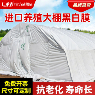 大棚黑白膜加厚养殖膜进口防晒隔热膜降温黑白塑料布防渗膜土工膜