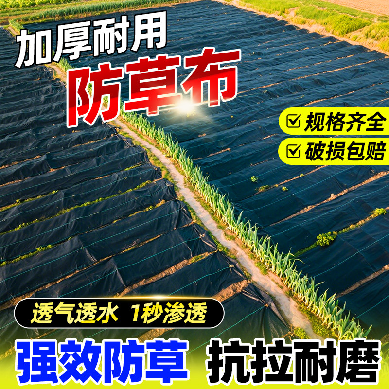 遮草布加厚农用除草膜防草布遮草布果园果树专用除草布菜地压草布,农机/农具/农膜,农用防草地布/除草布,淘宝优惠券,粉丝福利购,淘宝优惠卷