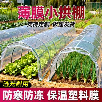 膜种菜专用小拱棚冬季防寒高透光塑料布大棚塑料膜育秧苗保温地膜