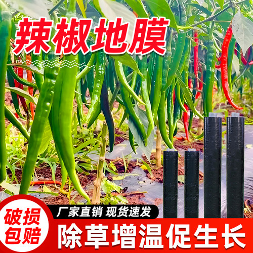 辣椒专用地膜除草布加厚黑色银黑色薄膜复合塑料耐用蔬菜种植地膜