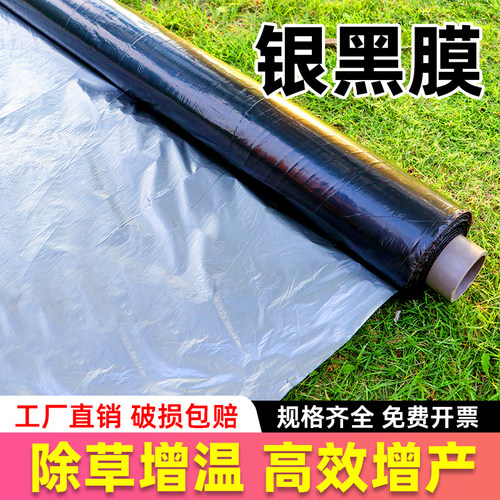 银黑膜双色地膜专用果园反光膜塑料大棚种植除草防虫种菜蔬菜保湿