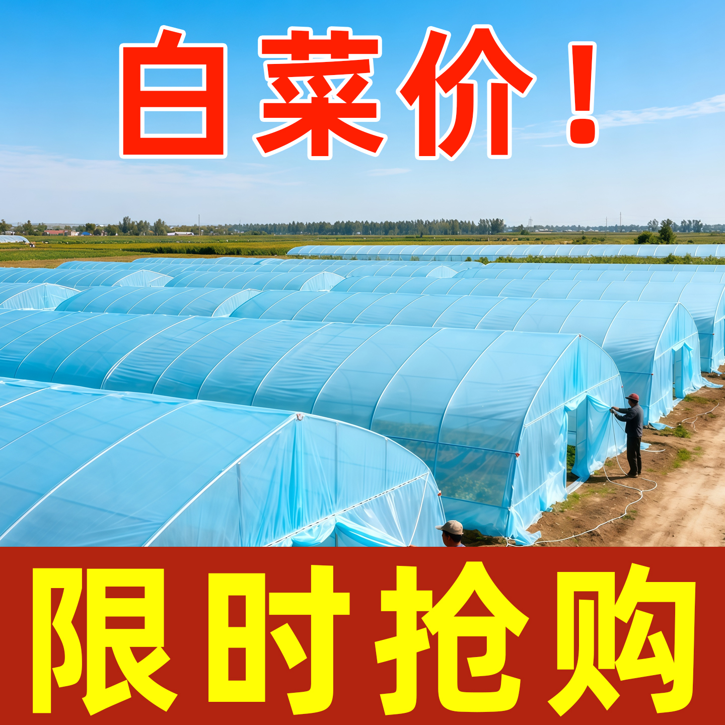 高品质透光保温加厚大棚水晶膜