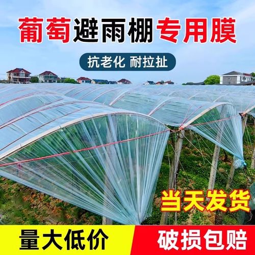 仁禾青柑橘葡萄避雨专用棚膜