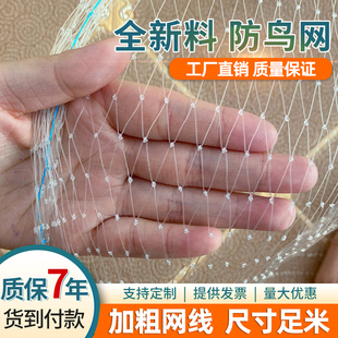 防鸟网樱桃葡萄嘉宝果树果园大棚专用网鱼塘水塘养殖阳台防鸟神器