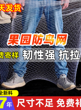 防鸟网果树果园大棚尼龙线防乌网阳台鱼塘樱桃树葡萄窗户涤纶天网