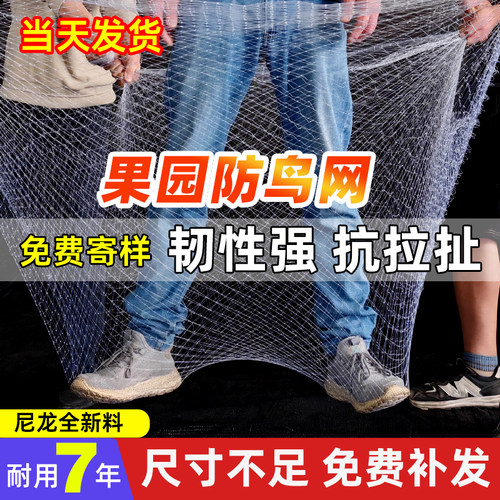 2025年全新料果园防鸟网厂家直销