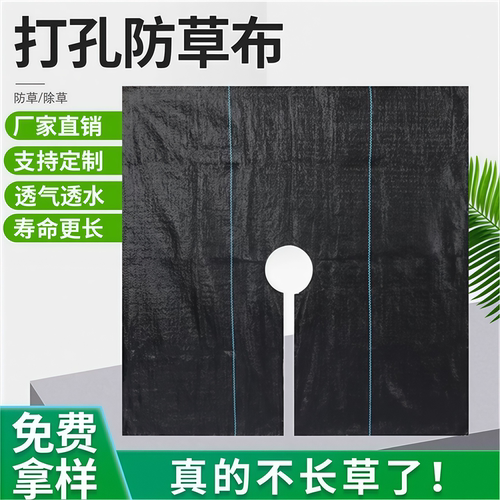 打孔防草布透水保湿除草布农用遮草盖草地布槟榔果树果园防草地膜