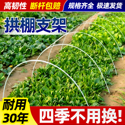 拱棚支架玻璃纤维菜园菜地小拱棚杆蔬菜棚骨架高弹性大棚支架拱杆