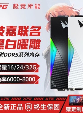 XPG威刚D500G技嘉联名套条DDR5内存条16/32G灯条RGB台式电脑AMD用