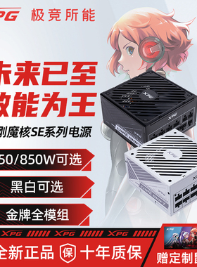 威刚XPG魔核SE金牌全模组电源750/850W台式电脑用白色电源ATX3.0