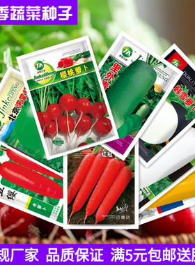 九斤王白萝卜凤梨水果樱桃小罗卜沙窝青萝卜红胡萝卜籽蔬菜种子孑