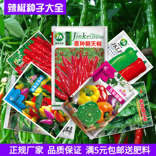 蔬菜种子辣椒茄子螺丝椒四季播种