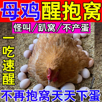 鸡醒抱药专治母鸡抱窝卧不起公鸡常年抱窝的药鸡鸭鹅下蛋催蛋专用