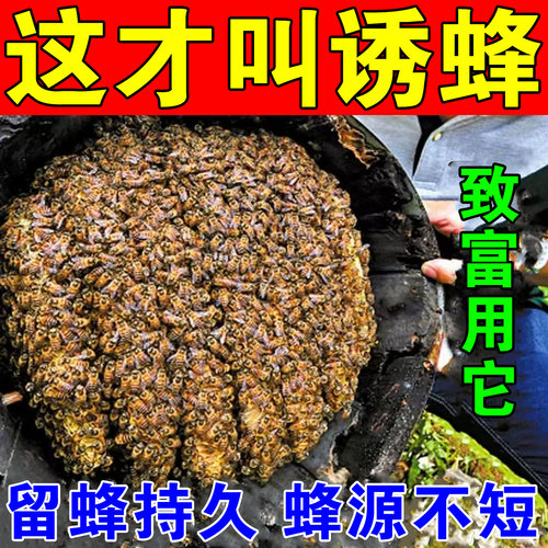 诱蜂膏神器蜂蜡诱蜂用野外用诱蜂水 中蜂养蜂招蜂水 蜜蜂引诱蜂王