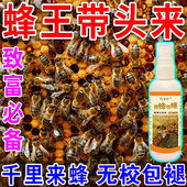 蜜蜂强力招蜂水神奇诱蜂液户外收野蜂群引中蜂分蜂蜡专用养蜂工具
