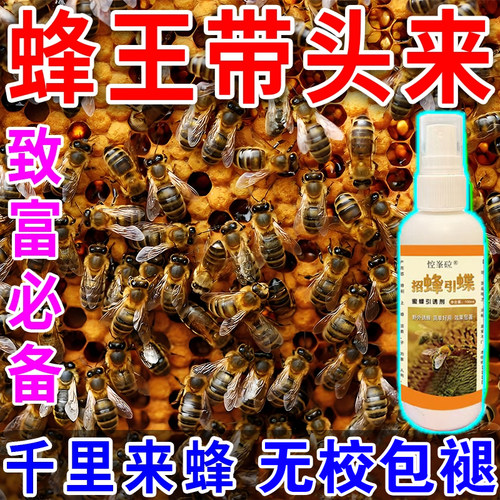 蜜蜂强力招蜂水神奇诱蜂液户外收野蜂群引中蜂分蜂蜡专用养蜂工具
