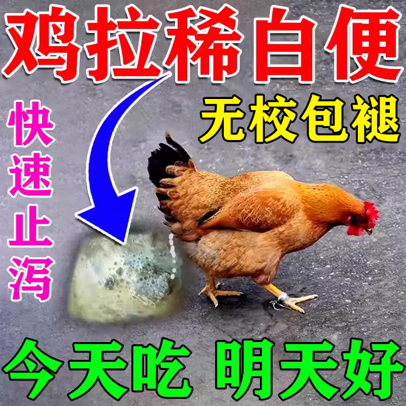 鸡拉  稀拉白便专用特效禽一片鸡病全治药养鸡水便红黄痢肠道药疾