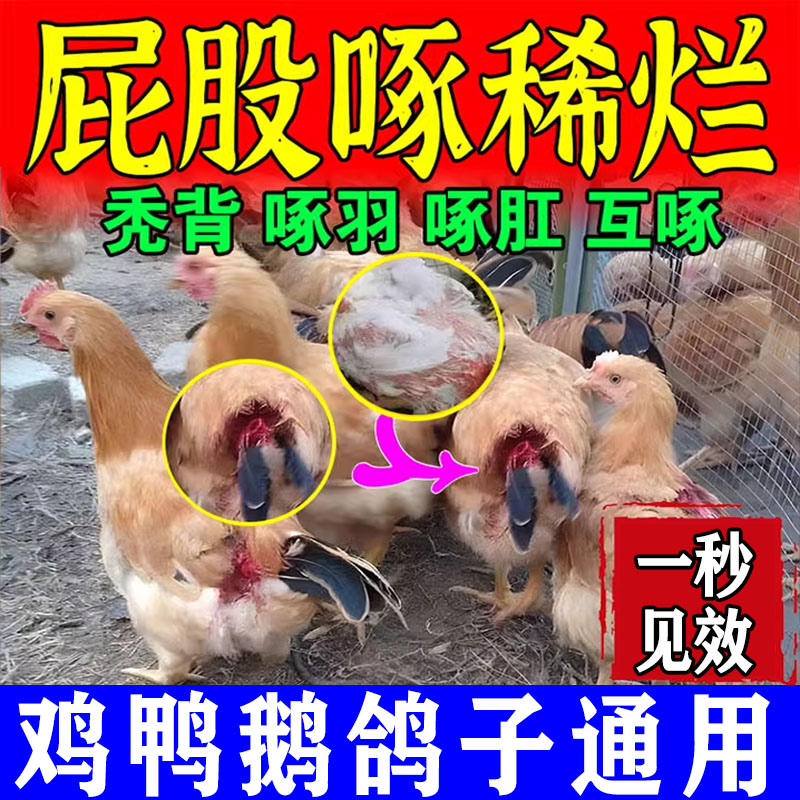 防鸡啄蛋禽用啄毛药止啄止咬灵家鸡营养不良补钙促长蛋鸡专用饲料_虎窝淘