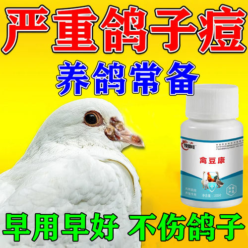 鸽豆用特效鸽豆净比喷剂好无痛安全眼皮嘴角爪子一片神器