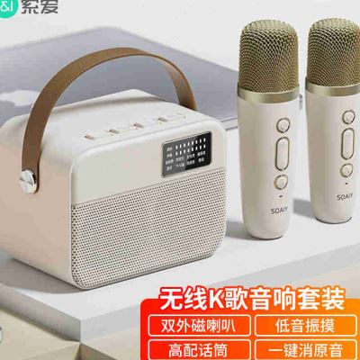 索爱（soaiy）SK3家庭KTV音响手机电视K歌迷你点歌机话筒蓝牙音箱
