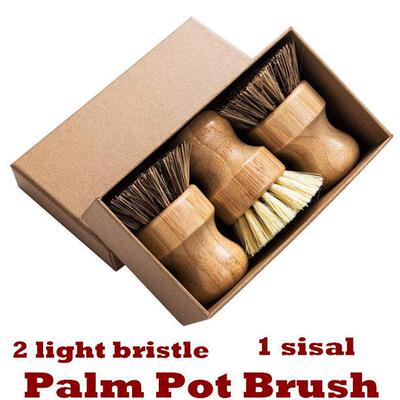 Palm Pot Brush Mini Dish Scrub Brush Scrubber Cleaning Kit