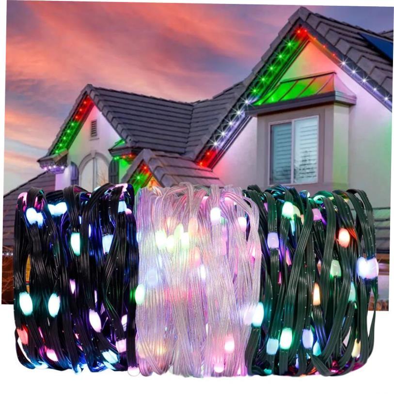 WS2812B RGBIC LED String 5M-20M Party Christmas Lights Dream