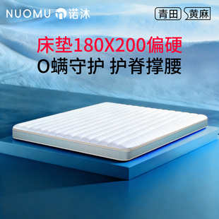 床垫180x200偏硬棕垫加厚10cm20厘米15天然椰棕棕榈榻榻米不塌陷