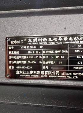 山东源头厂家直供 YTPE225M-6/30W 起重变频制动三相异步电动机