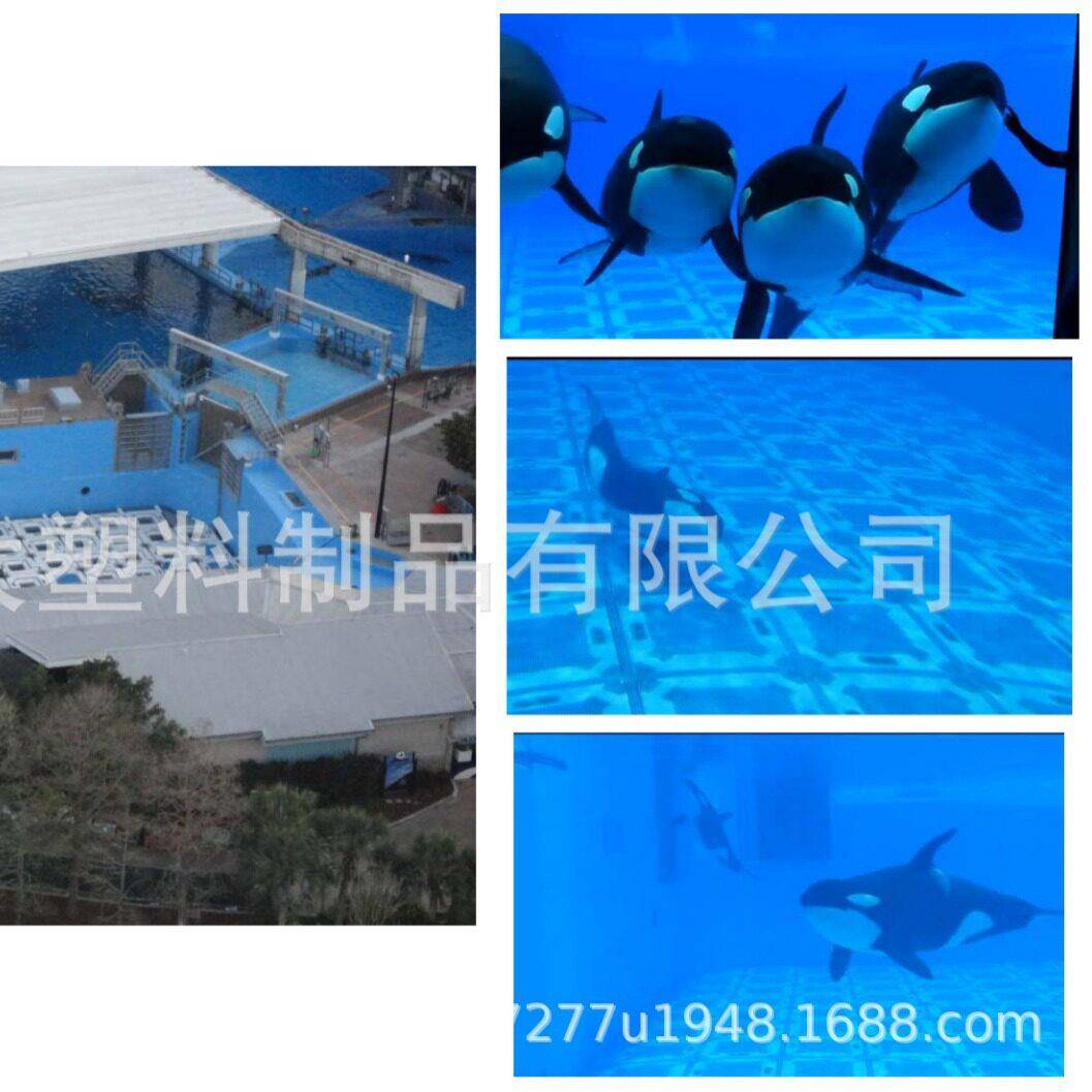 广州宏大塑料滚塑加工定制各种异形异型塑料PE外壳海豚游乐泳池