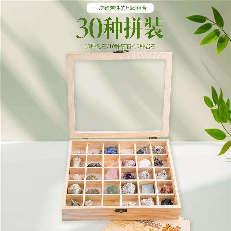 地球秘史天然奇石套装紫水晶化石矿石石头摆件青金石蜜蜡原石岩石