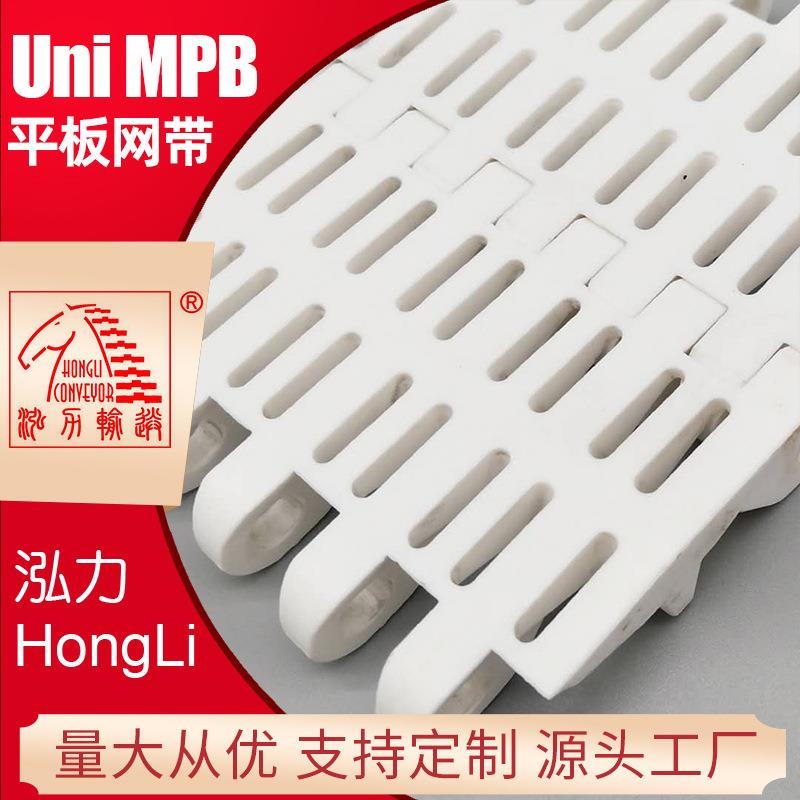 10PP/POM塑料链板多款Unimpb平板网带