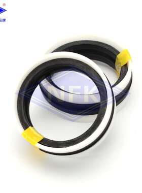 意大利TECNOLAN液路坚TDE型90*70*22.4/6.35耐磨损活塞组合密封件