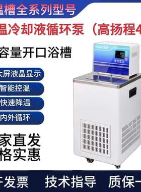DL-1005/2005/1020/4005低温冷却液循环泵冷却恒温水槽高扬程4米