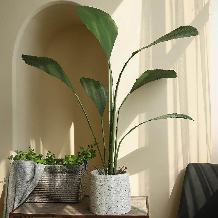 仿真绿植苏门答腊棕盆栽家居室内观赏大型北欧仿真植物落地装饰
