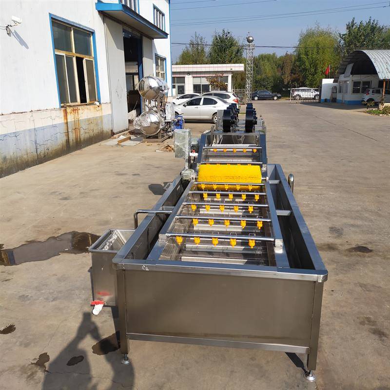 大型全自动水果清洗机 不锈钢工业喷淋洗果机 连续气泡草莓清洗机