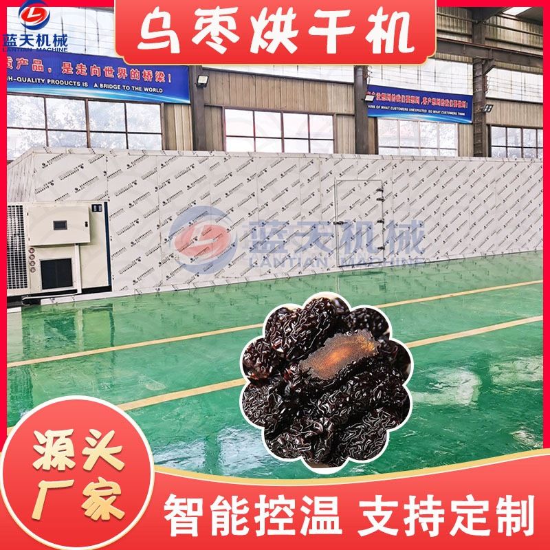全自动山西乌枣烘干机 空气能黑枣君迁子烘干箱 紫晶枣烘干房设备