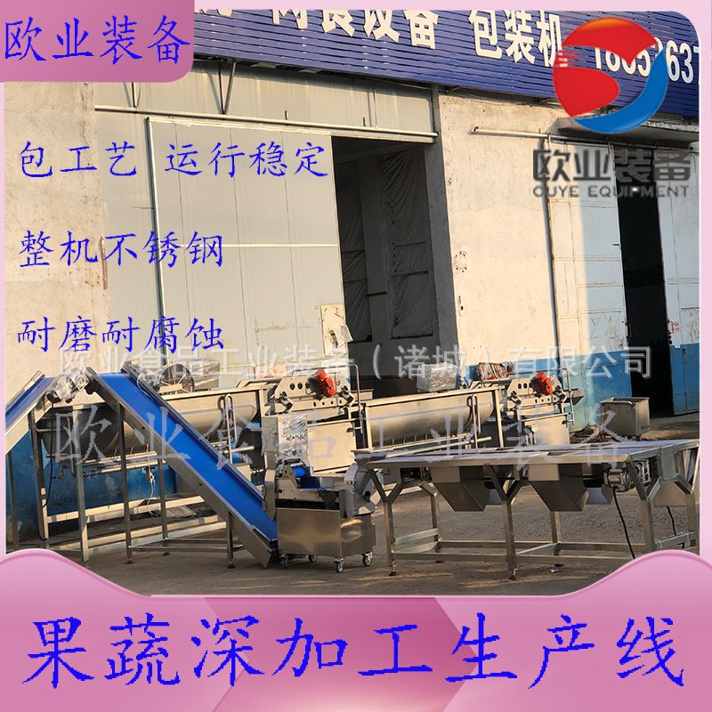 黑龙江酸菜深加工流水线 东北酸菜脱盐机 延边泡菜深加工生产线