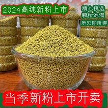 新鲜青海油菜花粉纯正天然正品食用蜂花粉男性前列500克未破壁