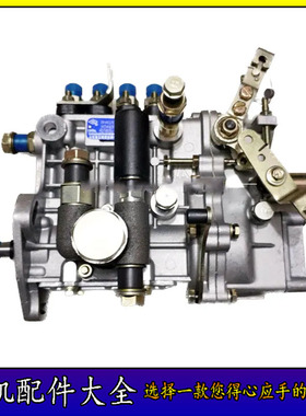 雷沃 莱动 KM390BT 385BT 4L22BT柴油机喷油泵总成柴油泵总成