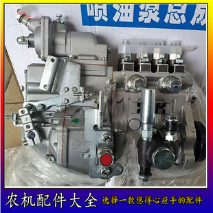 C27 1111100 玉柴4110高压油泵总成反方向喷射泵带增压中冷 E0500