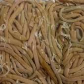 薇菜新鲜煮薇菜优质石锅拌饭专用农产品韩式 烤肉野菜水煮