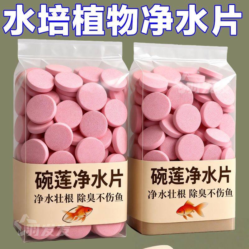 碗莲荷花净水片催芽睡莲开花黄叶叶面黑烂叶增肥水培绿植园艺肥料